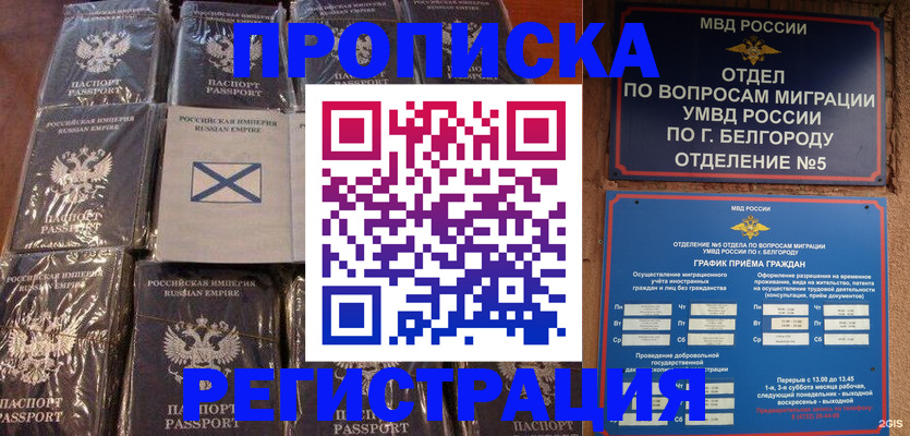 прописка гарантия в Приволжске